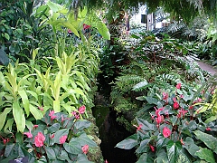 358 Longwood Gardens [2008 August 23]